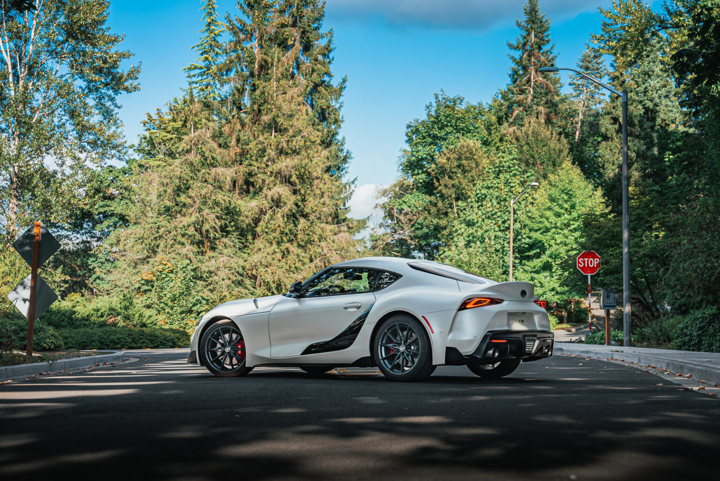 داينو ميت | DYNOmatte 7.5 mil